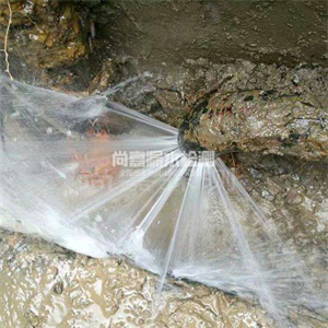苏家屯消防管道漏水检测